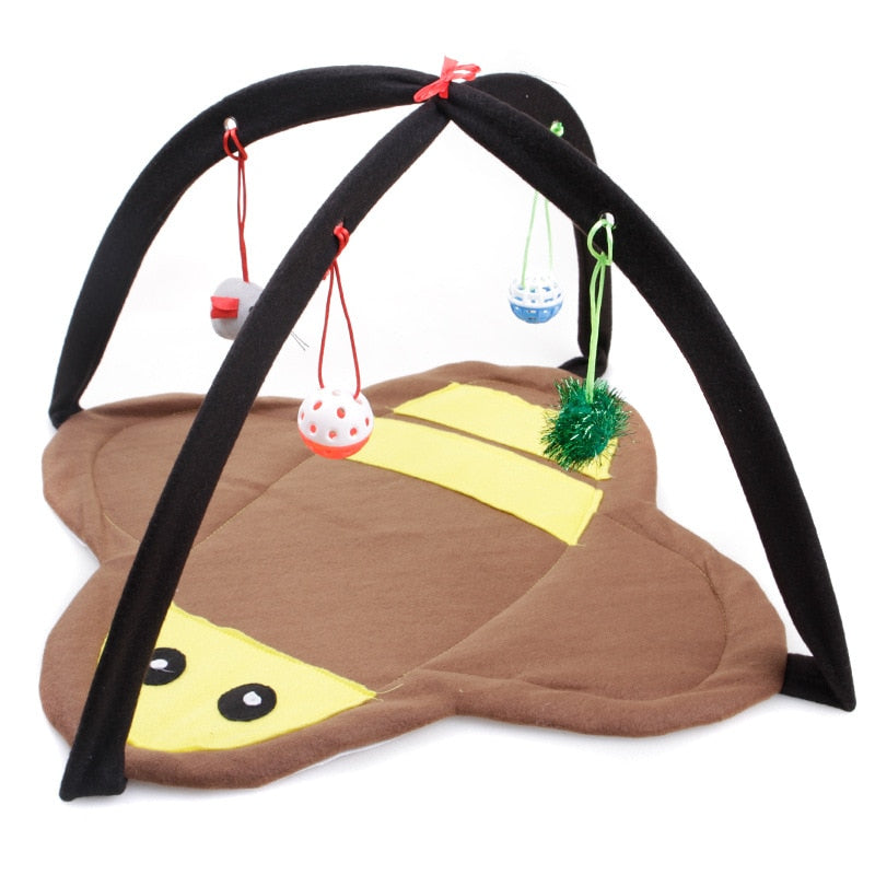 Cat Playing Tent