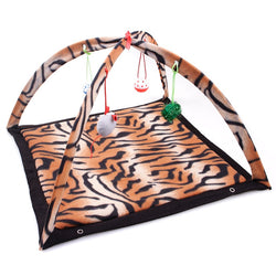Cat Playing Tent