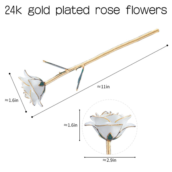 24k Gold Dipped Rose