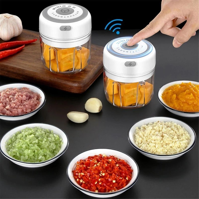 Mini Portable Food Chopper